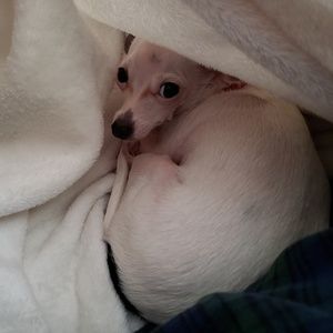 Meet your Posher, Paula